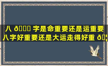 八 🐞 字是命重要还是运重要（八字好重要还是大运走得好重 🦆 要）